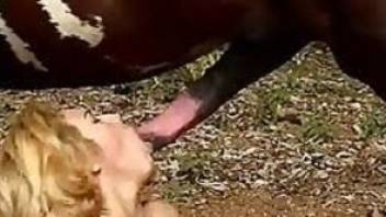 Animal sex story with woman tasted big horse cock