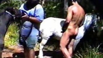 A man lying on the ground sucked a member of a horse