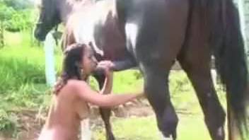 Animal fucks her wide twat with a force