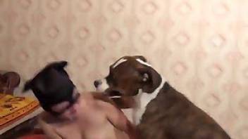 Animality action with a sexy doggy