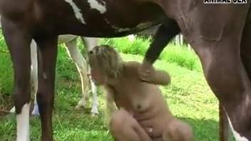 Animalistic erotica in this stunning bestiality clip