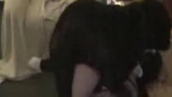 Huge ebony screwing hound