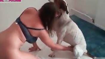 Cute doggy is having an awesome porn action