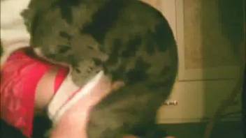 Massive canine copulates with voluptuous sexy Santa's aide