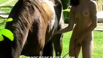 Nasty stallion fucks her tight muff