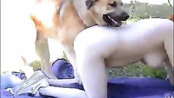 Naughty redhead fucks with her dog in a local park