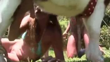 Conditioned animal pounds her snug opening