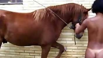 Voluptuous ebony babe flirts with her horse