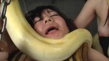 Man