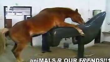 Huge horse cock in free beastiality vid. Free bestiality and animal porn