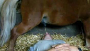 Complimentary zoophilia clip: He swallows it down on video. Gratis bestiality and creature erotica