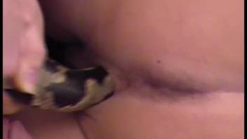Snake fucking in animal sex tube video