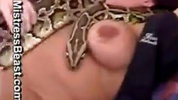 Freaky people enjoying snake sex here