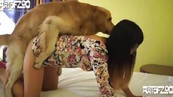 Pink panties slut has sex with dog. Free bestiality and animal porn