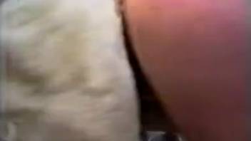 Perverted bestiality video with fisting