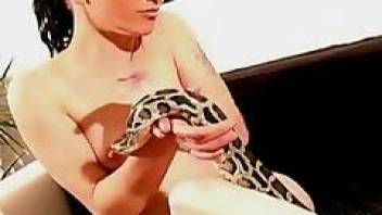 Small-breasted beauty fucks a snake