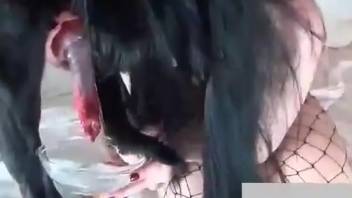 Disguised girl blowing a canine's penis in this spot
