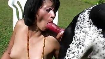 Lustful-female-misses-cock-and-fucks-with-dog