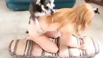 Leggy chick screwed by a sexy pooch