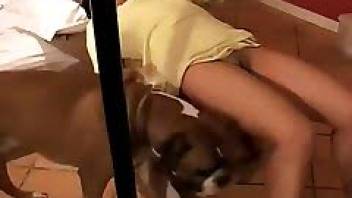 Sex with a dog on the bed in videos de zoofilia
