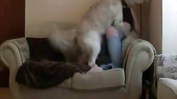 Dog porn video recorded on spy cam