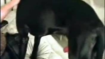 Chick banging her pooch while sporting a super hot disguise