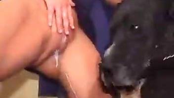 Blondes virginal pussy fucked by a dog