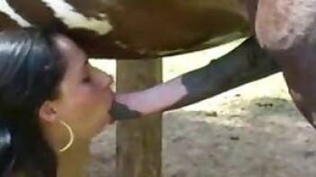 Busty Latina deepthroats a horse cock