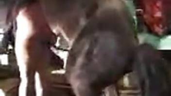 Woman fucking horse in a hot video