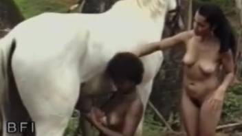 Curly-haired stunner gives head to a stud