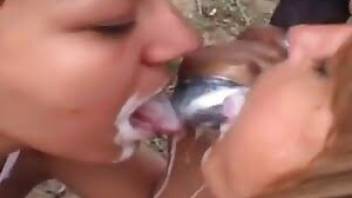 Woman fucking horse orally compilation