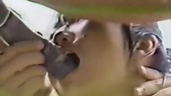 Horse having sex with a retro amateur. Free bestiality and animal porn