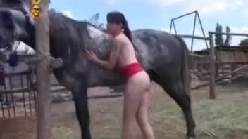 Skinny Euro girl and horse sex video