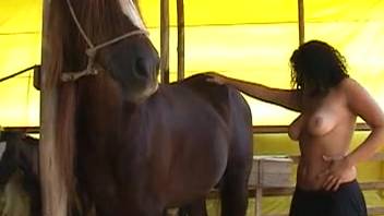 Horse erotica produced in Latin America. Complimentary zoophilia and beast sex content