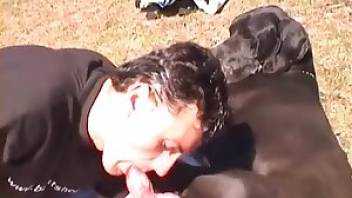 Man fucking dog after blowing it. Free bestiality and animal porn