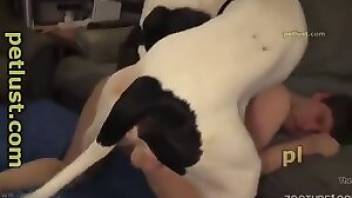 Man fucks dog after kissing. Free bestiality and animal porn