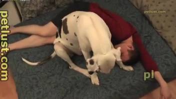 Guy screwing canine's snug opening. Complimentary zoophilia and beast sex content