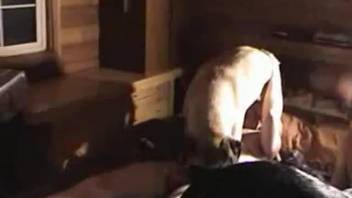 Disgusting man screws bitch in the cunt