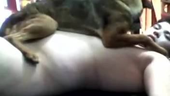 Filthy man screwing a canine in a steamy position