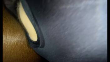 All free bestiality videos are super steamy