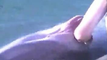 Dolphin beastiality video with lots of teasing